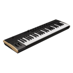 Korg Keystage49 master key 49 tasti