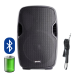 Gemini AS10 TOGO Speaker Portatile Bluetooth 10" con Microfono Lettore USB e Trolley 1000W