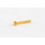 Allparts GS-5453-002 Pack of 6 Gold Humbucker Pole Piece Screws