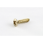 Allparts GS-0001-005 Pack of 20 Stainless Pickguard Screws