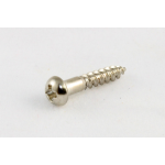 Allparts GS-0006-001 Pack of 16 Nickel Long Machine Head Screws