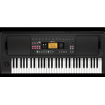 Korg EK50 L Limitless Arranger professionale 61 tasti