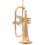 Carol Brass CFL6200-GSS Flicorno Soprano in Sib con Campana in Gold Brass Satinato