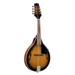 Soundsation BMA60 VS Mandolino bluegrass borsa compresa
