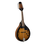 Soundsation BMA60E VS Mandolino bluegrass elettrificato