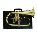 Carol Brass CFL6200-YSS Flicorno Soprano in Sib Laccato