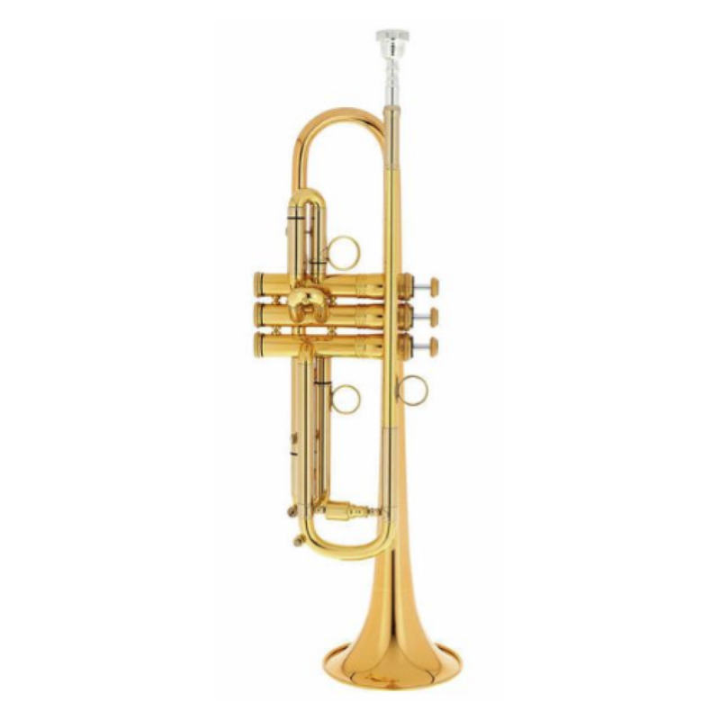 Kühnl & Hoyer Tromba Malte Burba Premium Goldbrass con custodia