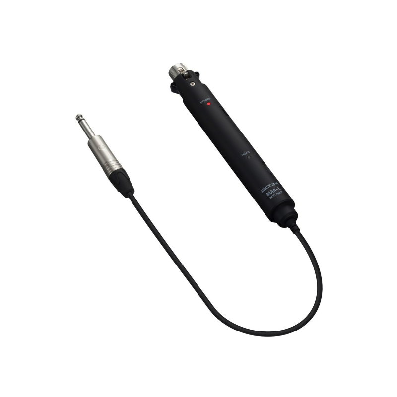 Zoom A1X FOUR Processore di Effetti per Chitarra e Basso Acustico Sax Tromba Violino e Armonica con Pedale di Espressione