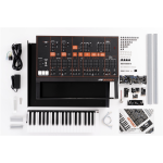 ARP ODYSSEY FS Kit versione in kit assemblabile dall'utente 