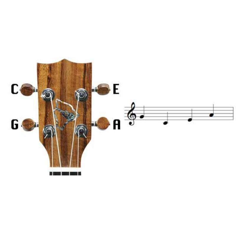 UKULELE SOPRANO CASCHA HH3961 SELA LINDEN RED