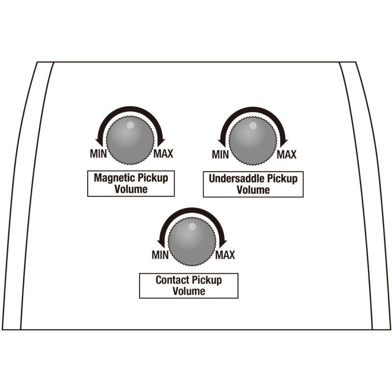 Ibanez AE440LGS Chitarra Acustica Elettrificata 