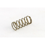 Allparts GS-0034-B05 Bulk Pack of 50 Bridge Length Springs