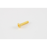 Allparts GS-3378-002 Pack of 6 Gold Short Tuner Button Screws