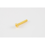 Allparts GS-3379-002 Pack of 6 Gold Long Tuner Button Screws