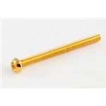 Allparts GS-0012-B02 Bulk Pack of 50 Gold Humbucking Screws (no springs)