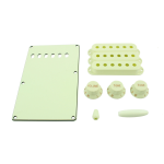 Allparts PG-0549-024 Mint Green Accessory Kit for Stratocaster®