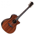 Taylor Builder's Edition 914ce Sinker Redwood top, Honduran RW