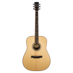 Larrivee 03 Deluxe SE Dreadnought Elettrificata