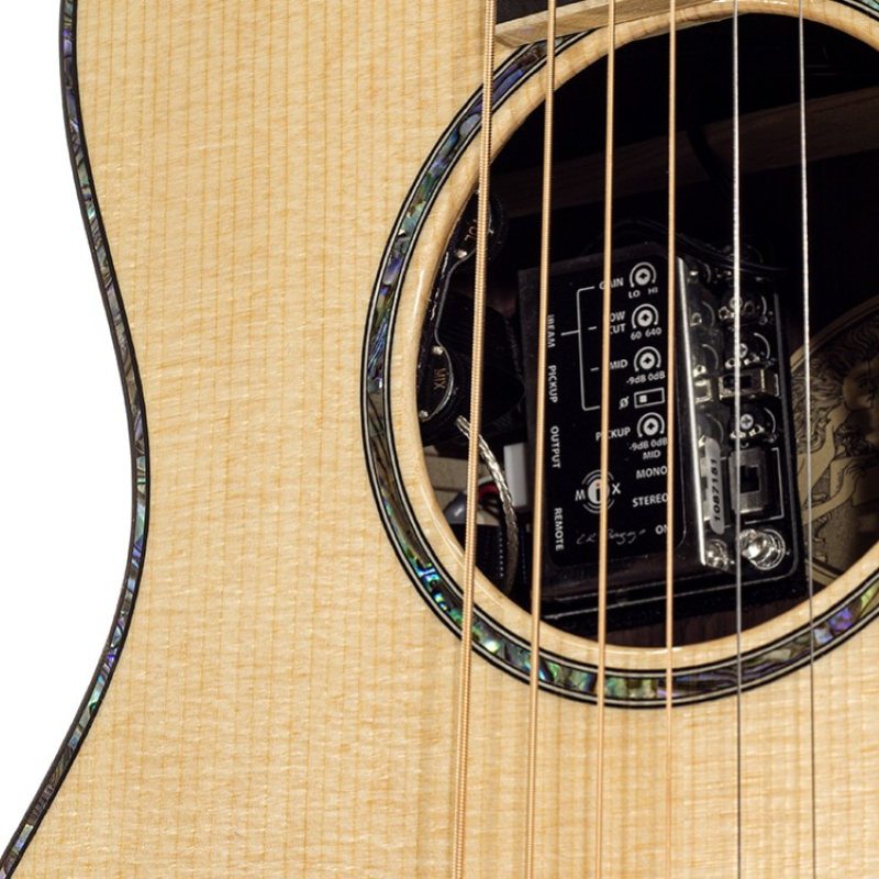 Larrivee 10 Parlor Elettrificata P 10 Parlor body shape Serie 10 Made in USA   