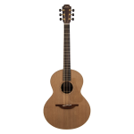 Lowden Original S-23 elettrificata