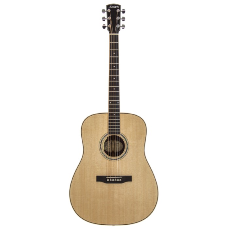 Larrivee 09 Dreadnought Elet D09
