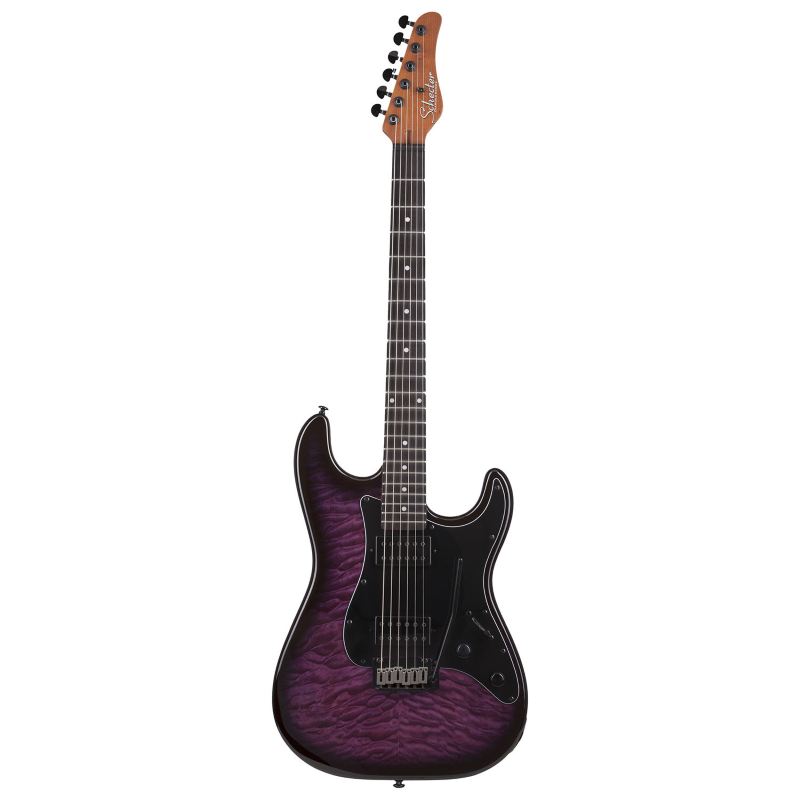 Schecter TRADITIONAL PRO-EBONY TRADITIONAL PRO