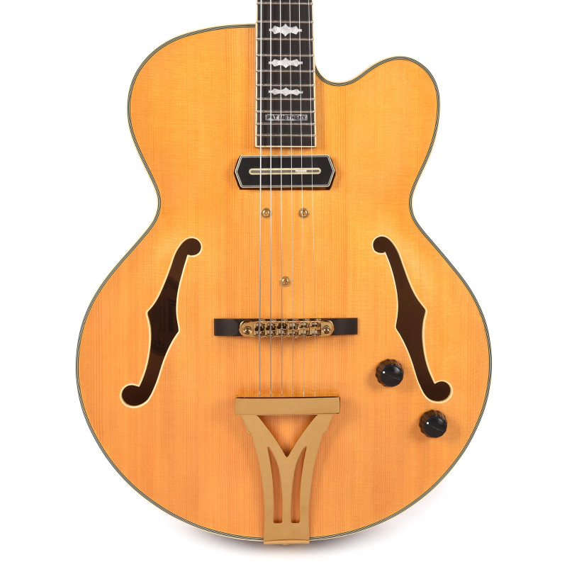 Ibanez PM3C-NAL Pat Metheny con astuccio