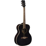 Eko Guitars NXT A100 See Through Black