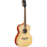 Eko Guitars NXT A100 Natural