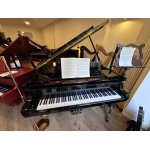 usato Steinway & Sons Gran Coda Nero Lucido