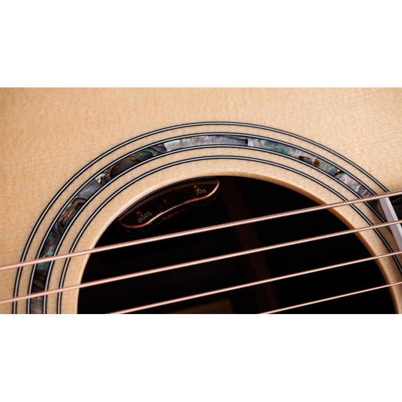 Taylor Legacy 810e Indian Rosewood/Sitka
