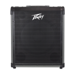 Peavey MAX250 Amplificatore 250Watt 1x15"