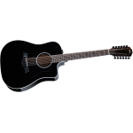 Taylor 250ce-BLK Plus Maple Spruce 12 Corde