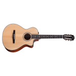 Taylor 312ce-N Compact Grand Concert body shap Corde in Nylon