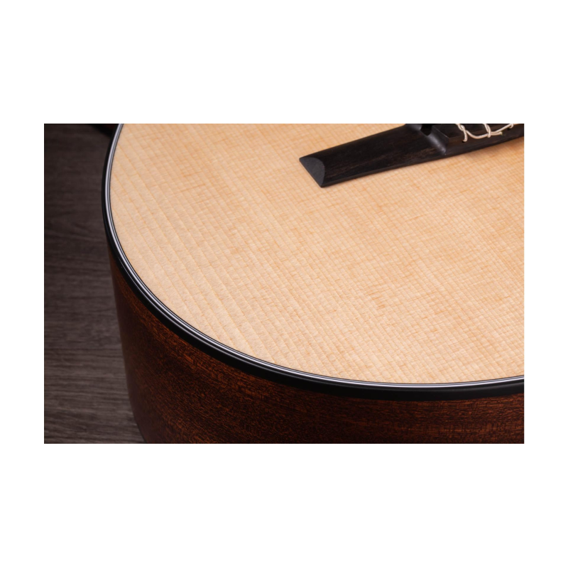 Taylor 312ce-N Compact Grand Concert body shap Corde in Nylon