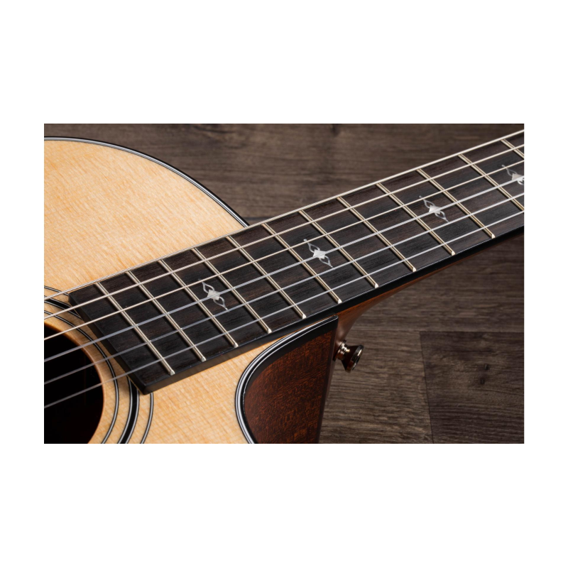 Taylor 312ce-N Compact Grand Concert body shap Corde in Nylon