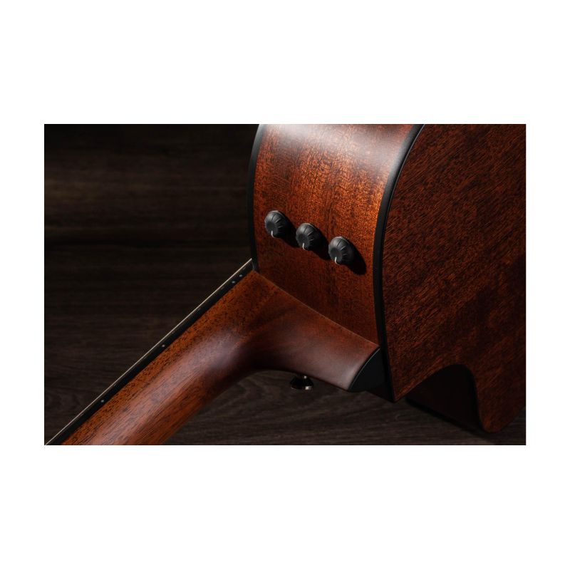 Taylor 312ce-N Compact Grand Concert body shap Corde in Nylon