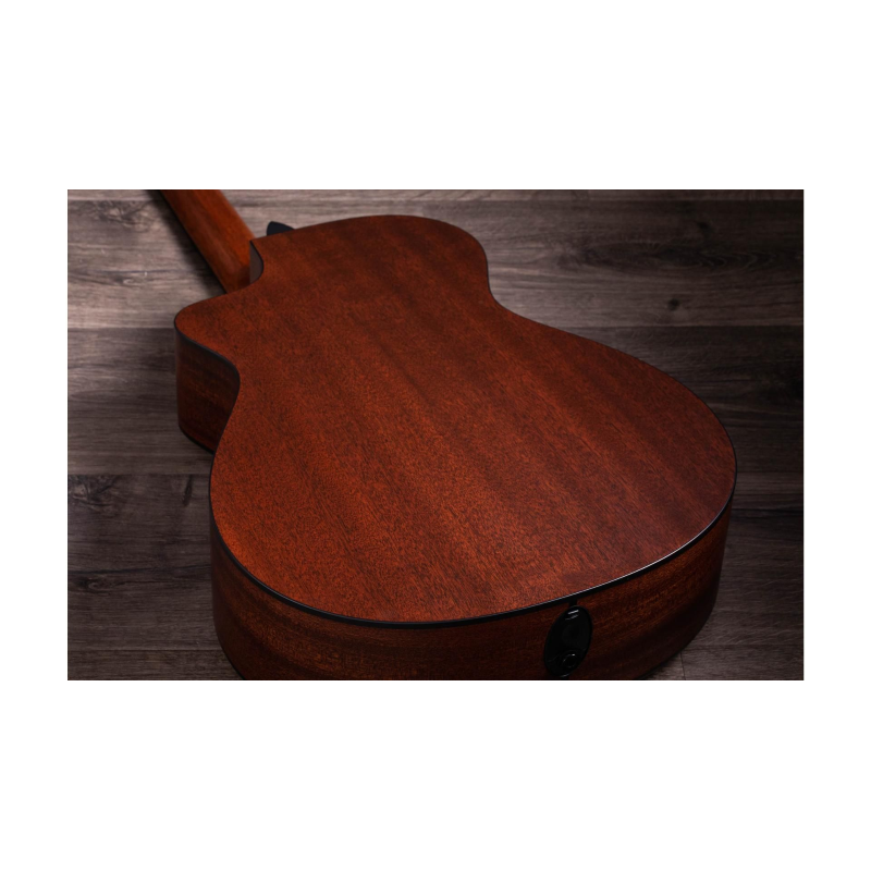 Taylor 312ce-N Compact Grand Concert body shap Corde in Nylon