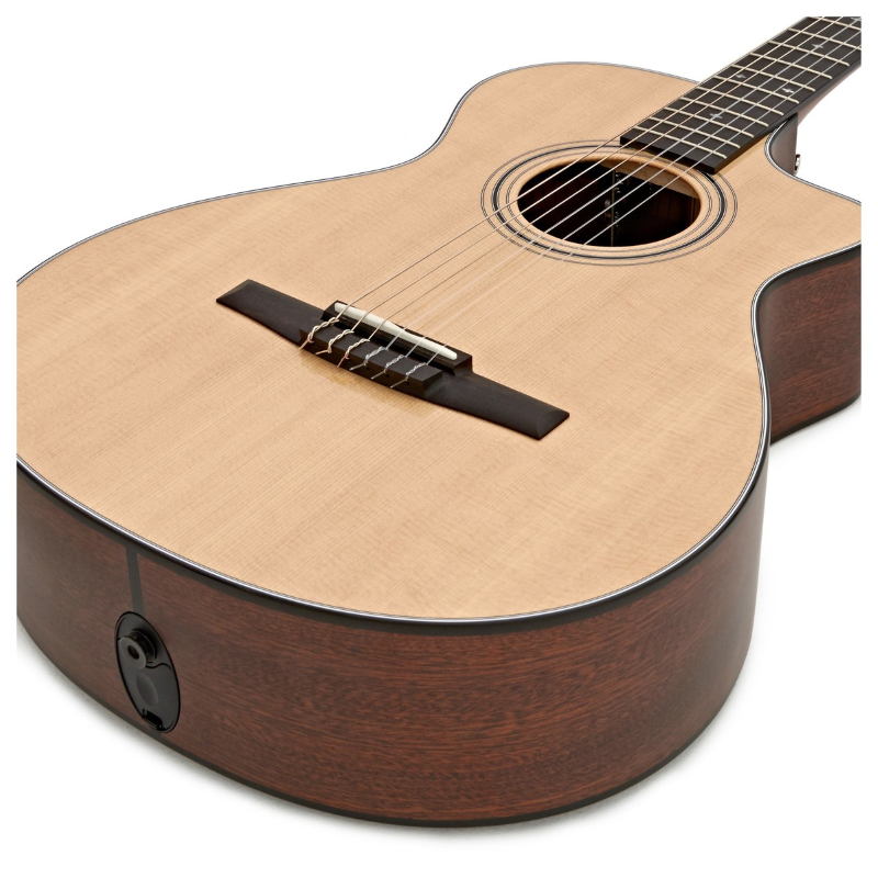 Taylor 314ce-N Compact Grand Concert Corde in Nylon