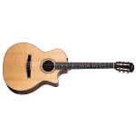 Taylor 314ce-N Compact Grand Concert Corde in Nylon