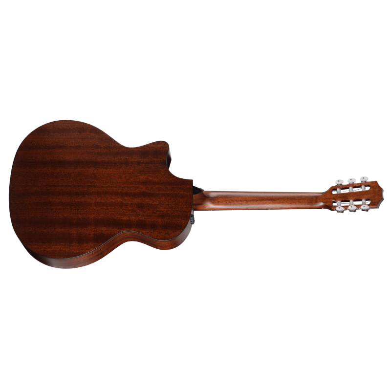 Taylor 314ce-N Compact Grand Concert Corde in Nylon