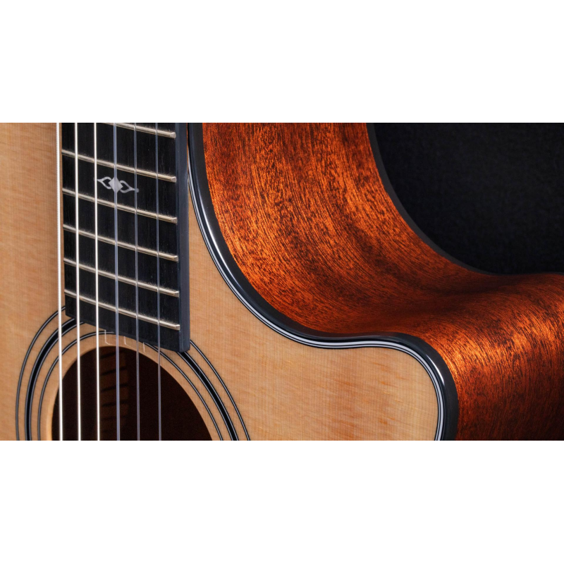 Taylor 314ce-N Compact Grand Concert Corde in Nylon