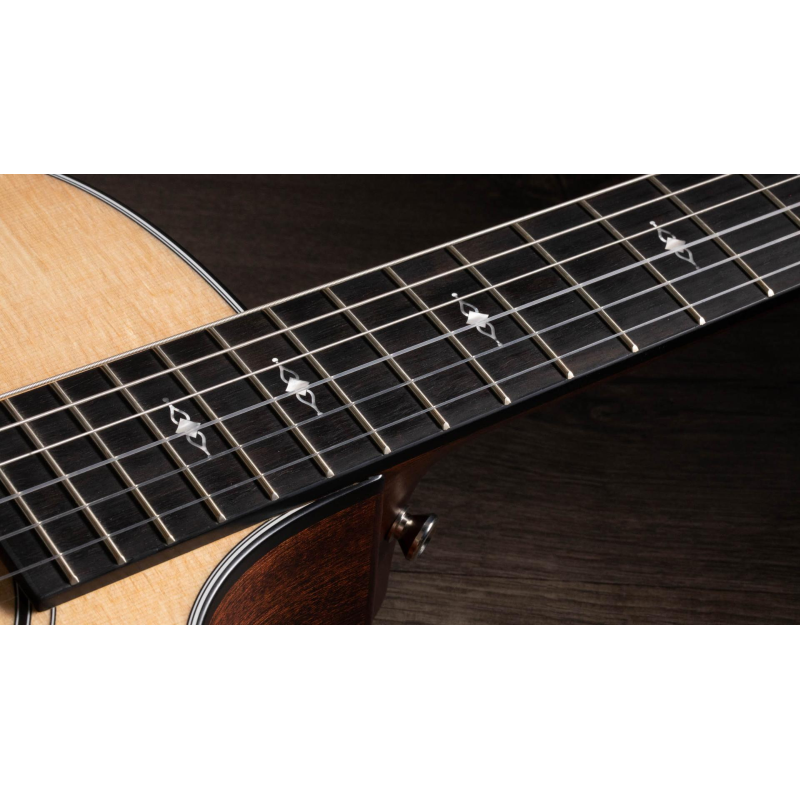 Taylor 314ce-N Compact Grand Concert Corde in Nylon