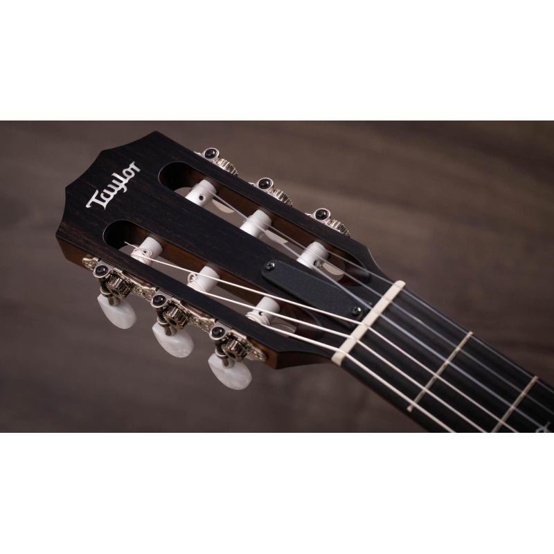 Taylor 314ce-N Compact Grand Concert Corde in Nylon