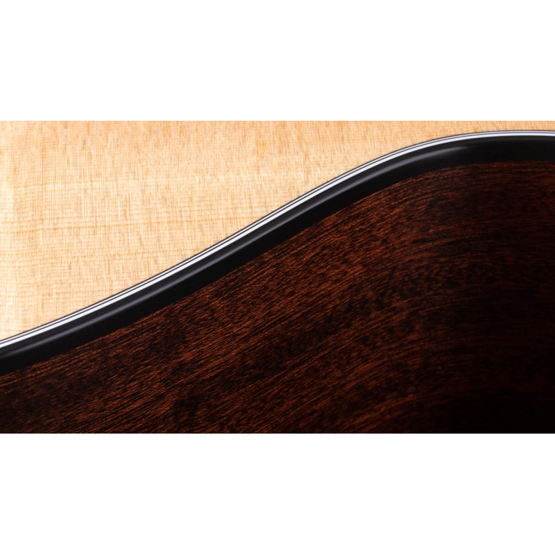 Taylor 314ce-N Compact Grand Concert Corde in Nylon