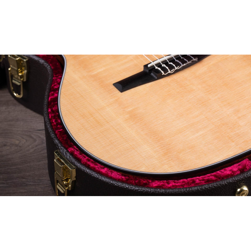 Taylor 314ce-N Compact Grand Concert Corde in Nylon