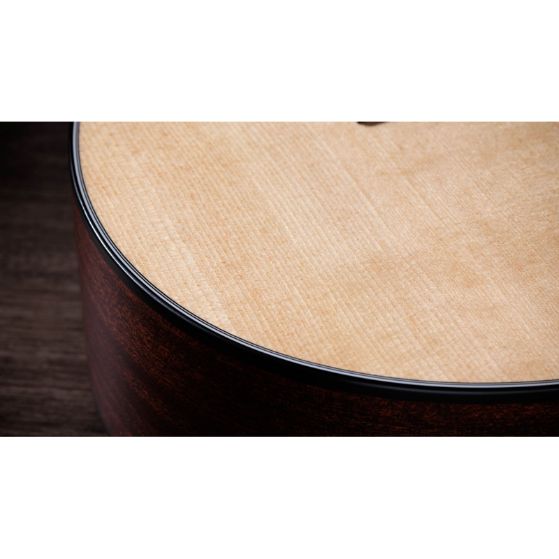 Taylor 352ce Sitka Sapele 12-String Gran Concert