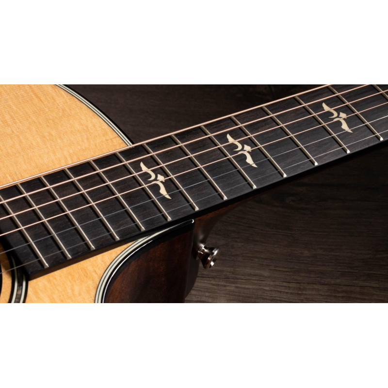 Taylor 614ce V-Class Bracing 