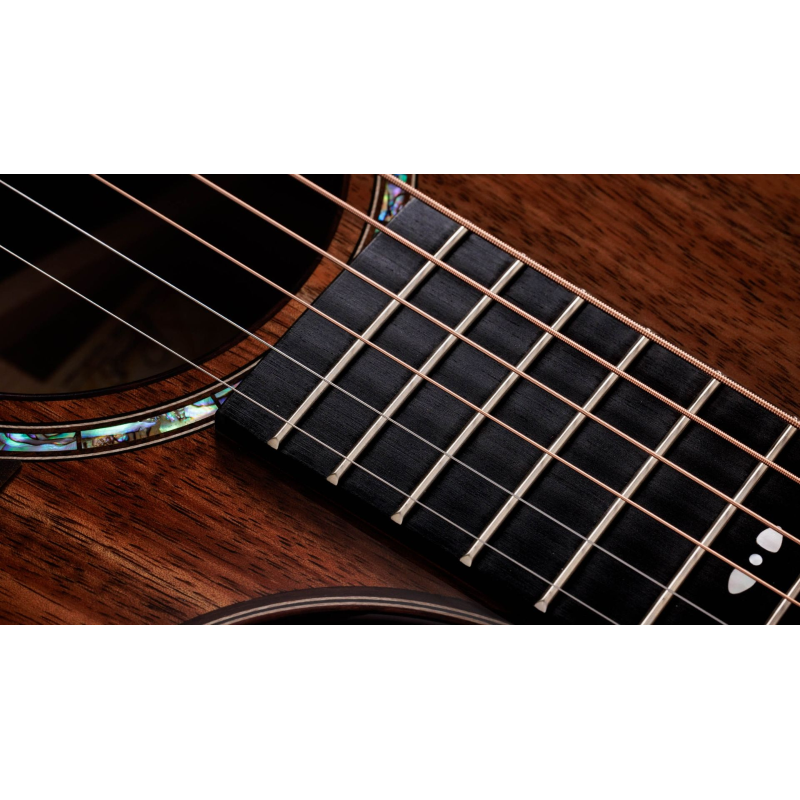Taylor 722ce,Koa/Koa,Gloss