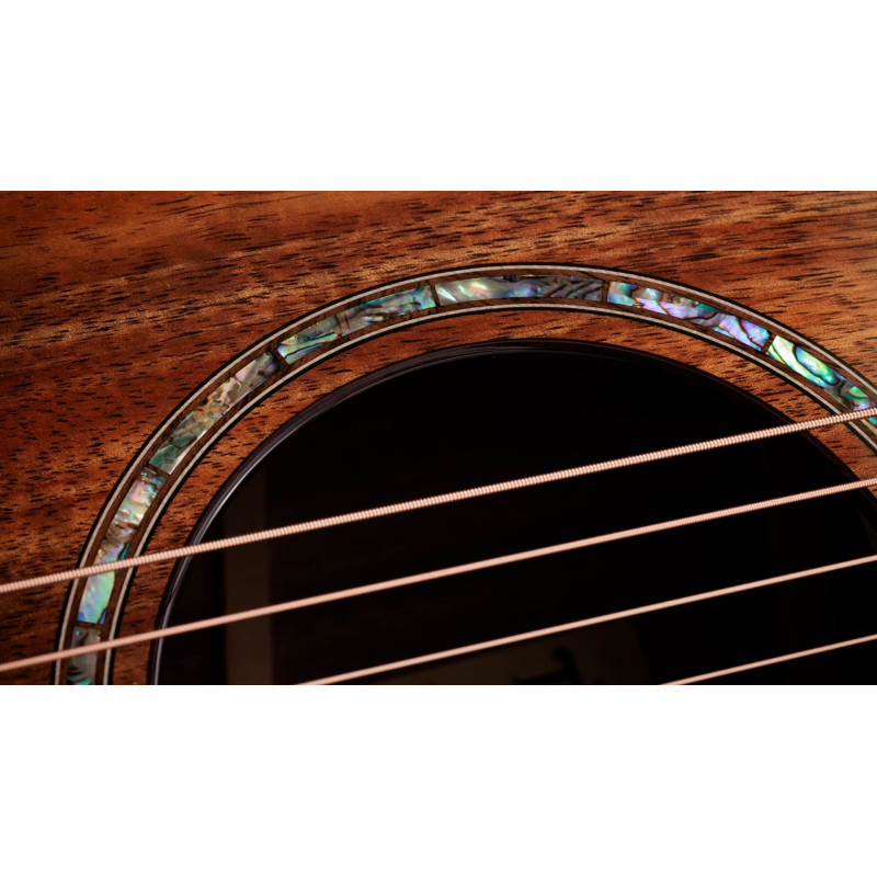 Taylor 722ce,Koa/Koa,Gloss